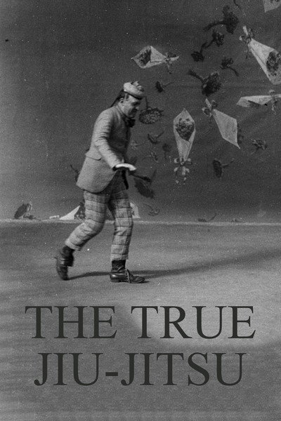 Póster de Dranem Performs 'The True Jiu-Jitsu'