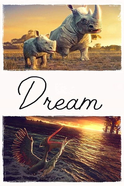 Póster de Dream