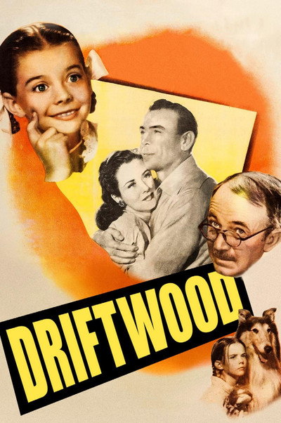 Póster de Driftwood