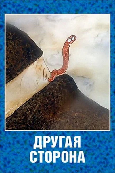 Póster de Drugaya storona