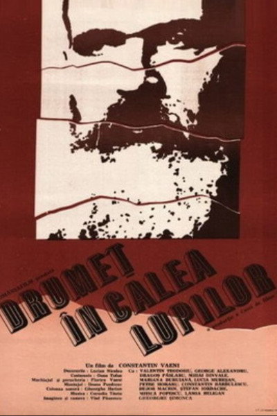 Póster de Drumet în calea lupilor
