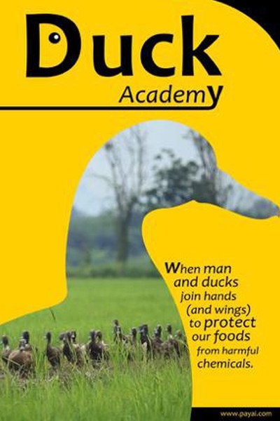 Póster de Duck Academy