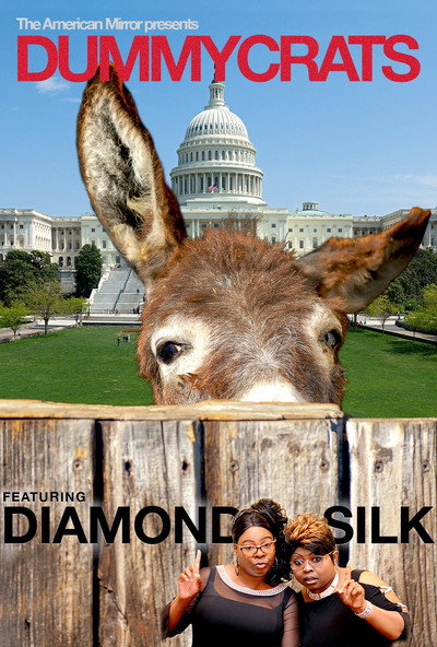 Póster de Dummycrats