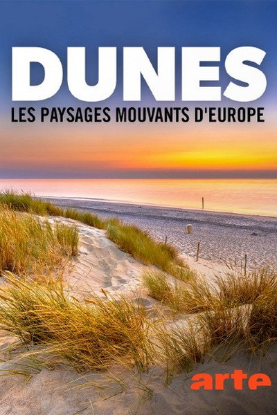 Póster de Dünen: Europas wandernde Landschaften