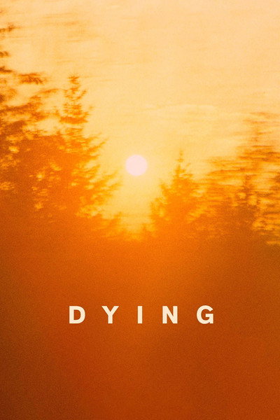Póster de Dying