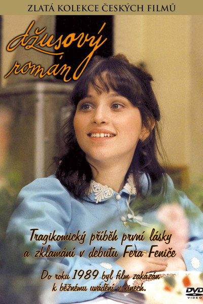 Póster de Dzusový román