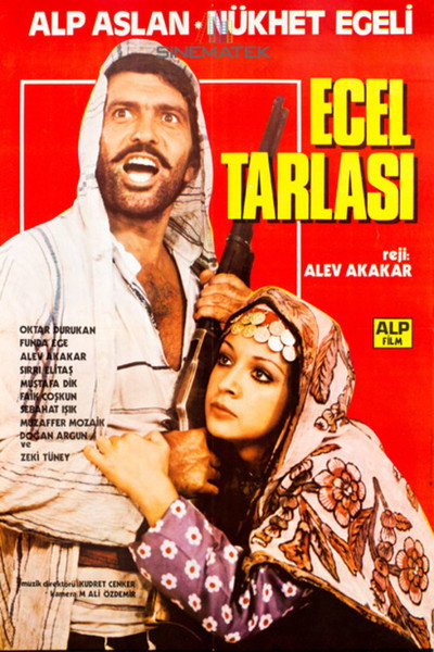 Póster de Ecel Tarlasi