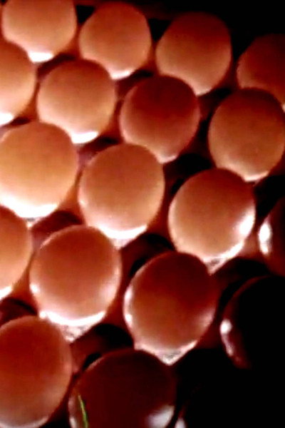 Póster de Eggs to Market
