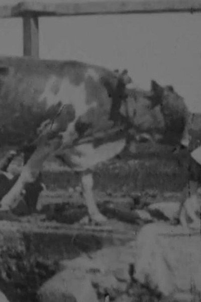 Póster de Egyptian Bullock Pump