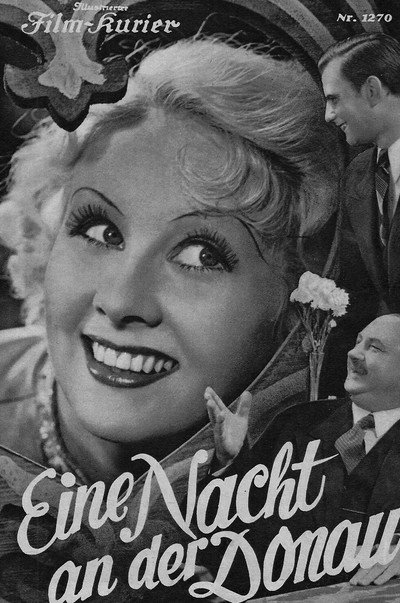 Póster de Eine Nacht an der Donau