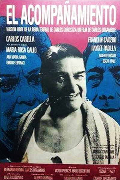 Póster de El acompañamiento