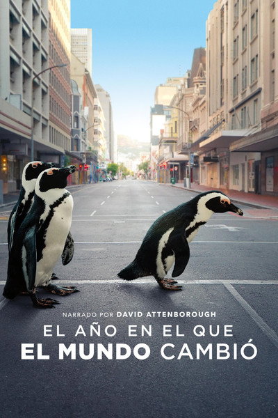 Póster de El año en el que el mundo cambió