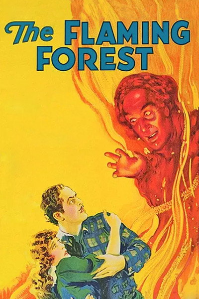 Póster de El bosque en llamas