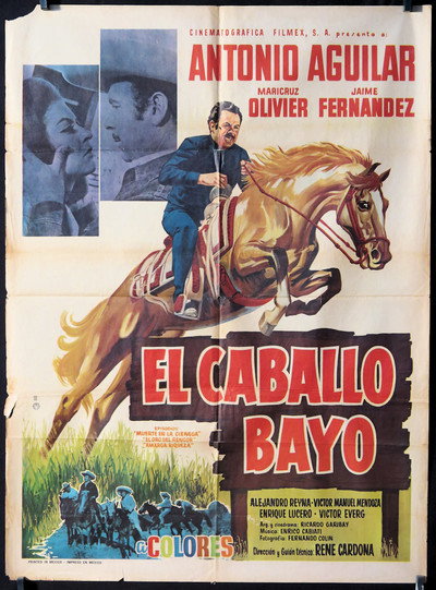 Póster de El caballo Bayo