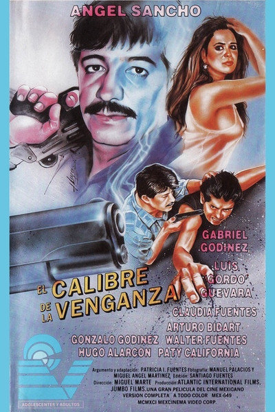 Póster de El calibre de la venganza