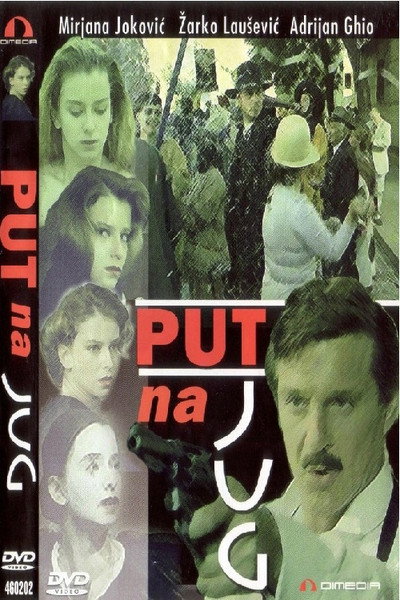 Póster de El camino del sur