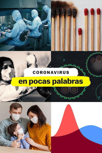 Póster de El coronavirus, en pocas palabras