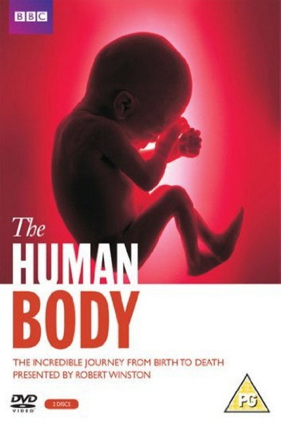 Póster de El Cuerpo Humano