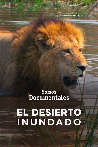Póster de El desert inundat
