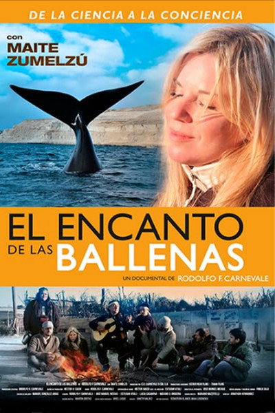 Póster de El encanto de las ballenas