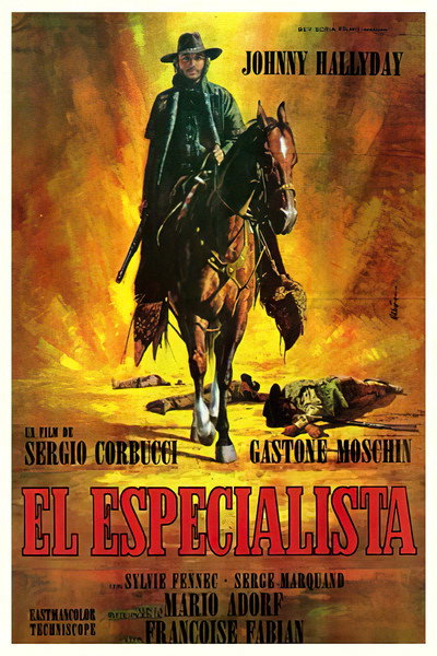 Póster de El especialista