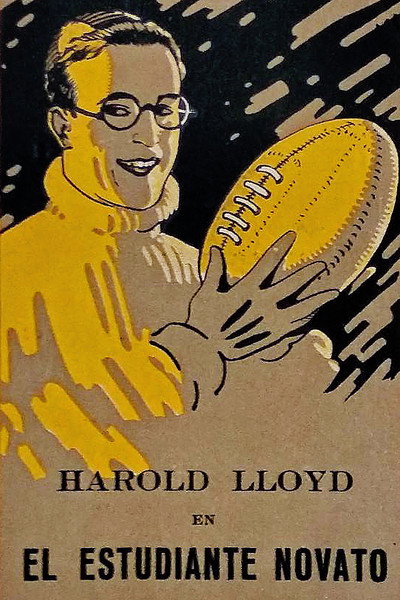 Póster de El estudiante novato