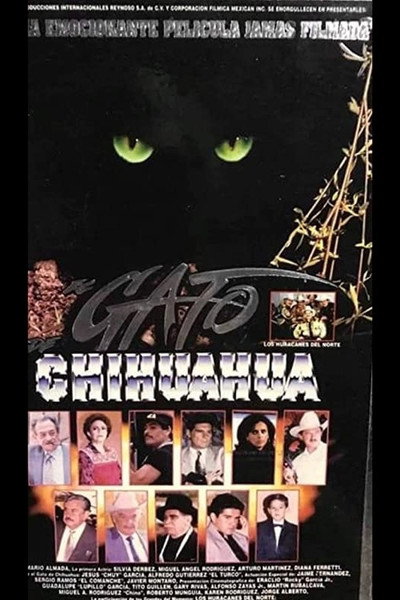 Póster de El gato de Chihuahua
