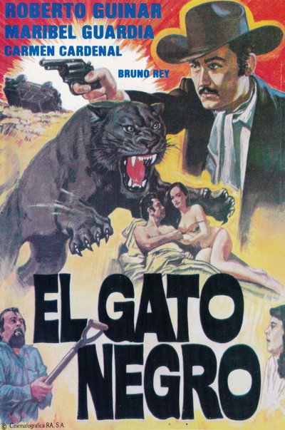 Póster de El gato negro