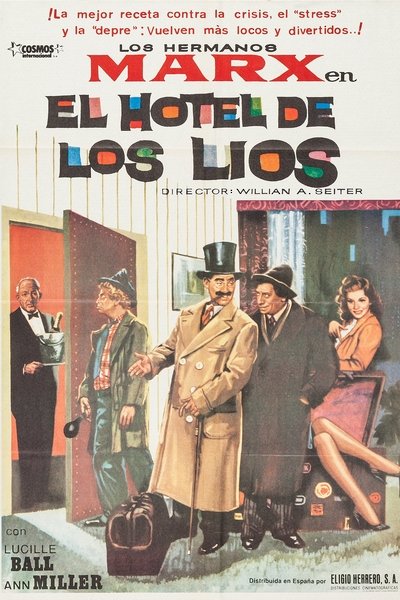 Póster de El hotel de los líos