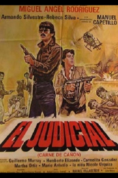 Póster de El judicial
