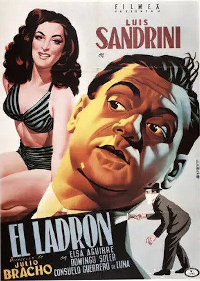 Póster de El ladrón