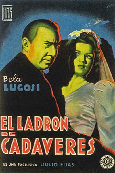 Póster de El ladrón de cuerpos