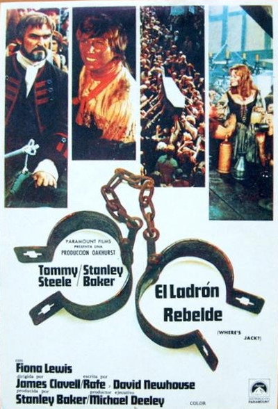 Póster de El ladrón rebelde