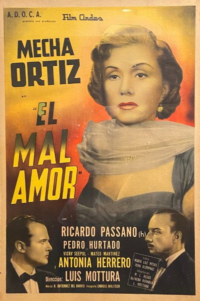 Póster de El mal amor