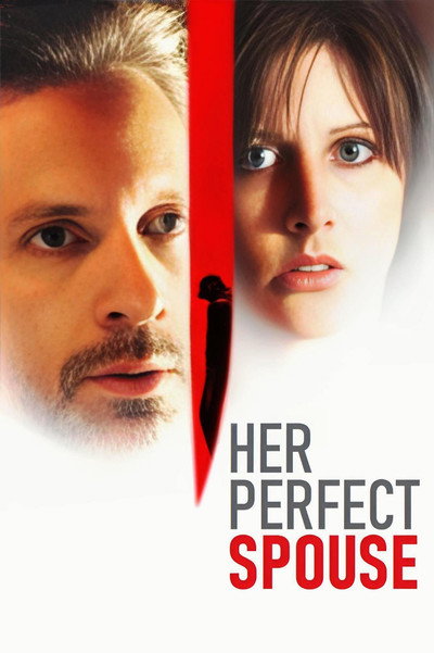 Póster de El marido perfecto