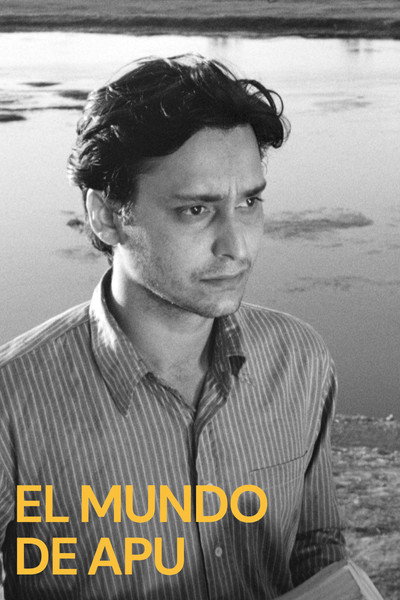 Póster de El mundo de Apu