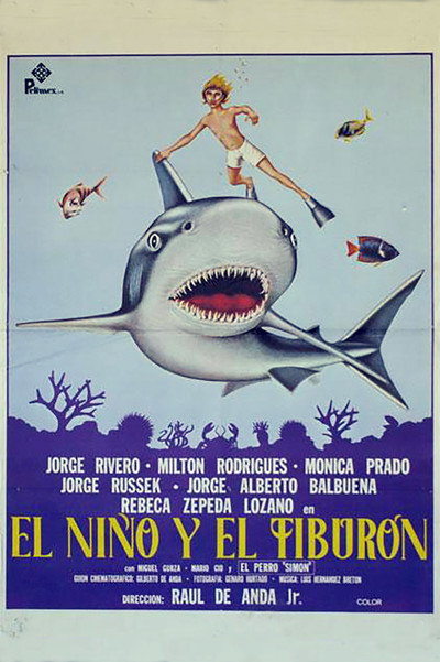 Póster de El niño y el tiburón