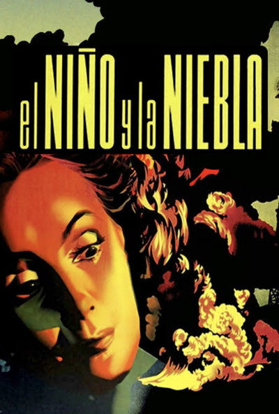Póster de El niño y la niebla
