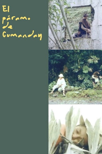 Póster de El páramo de Cumanday