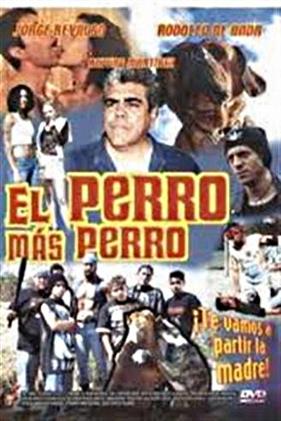 Póster de El perro más perro