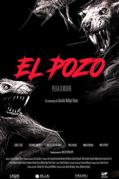 Póster de El Pozo