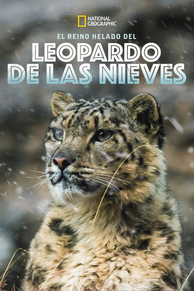 Póster de El Reino Helado del Leopardo de las Nieves