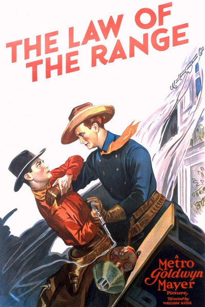 Póster de El representante de la ley