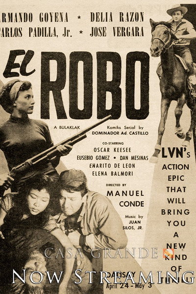 Póster de El robo