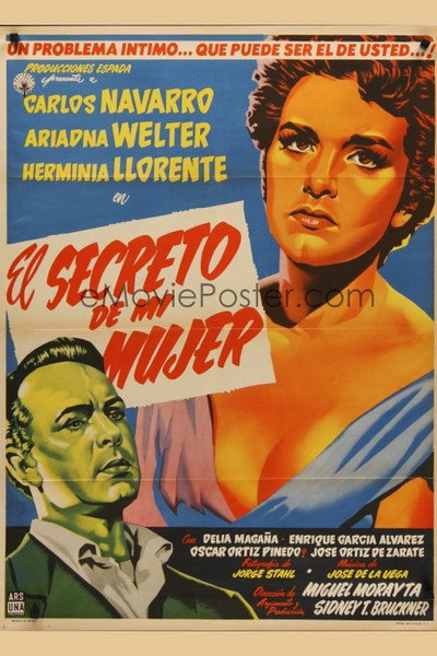 Póster de El secreto de una mujer