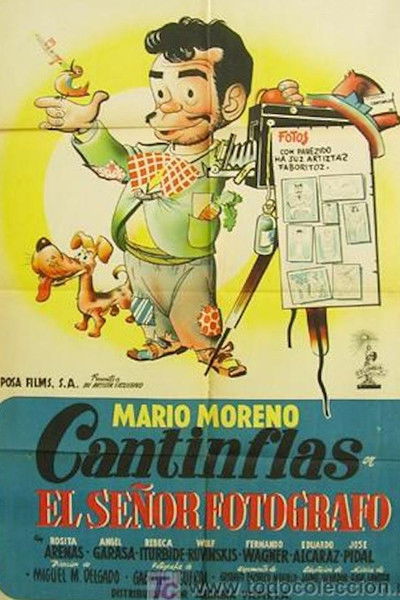 Póster de El señor fotógrafo