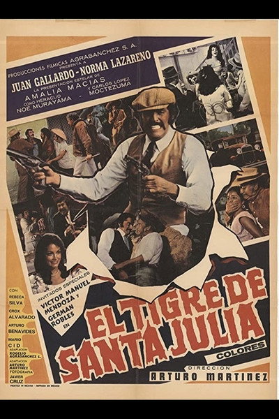 Póster de El tigre de Santa Julia