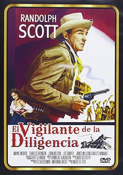 Póster de El vigilante de la diligencia
