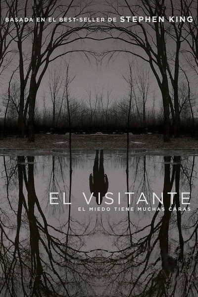 Póster de El visitante