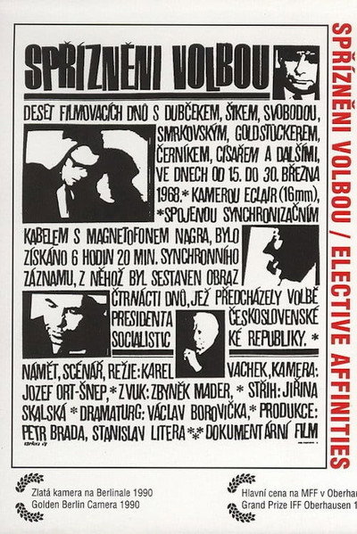 Póster de Elective Affinities